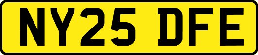 NY25DFE