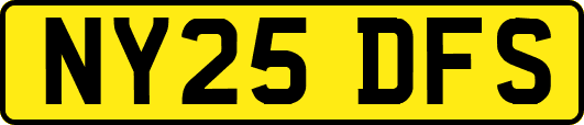 NY25DFS