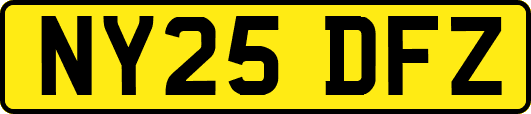NY25DFZ
