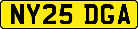 NY25DGA