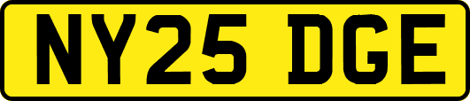 NY25DGE