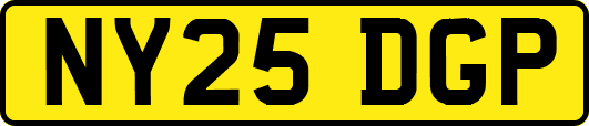 NY25DGP