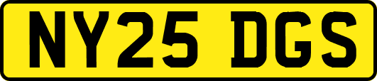 NY25DGS