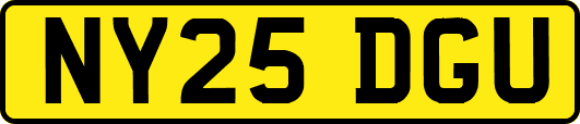 NY25DGU