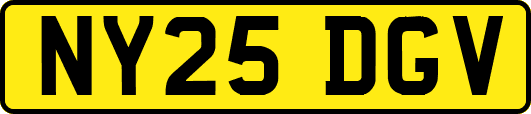 NY25DGV