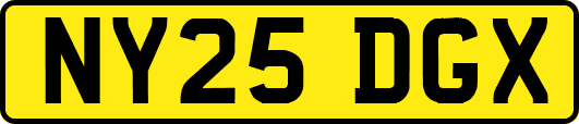 NY25DGX