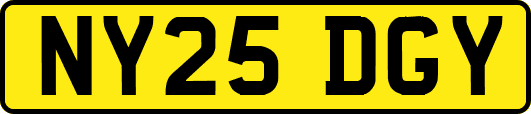 NY25DGY
