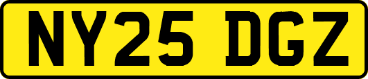 NY25DGZ