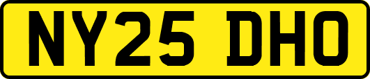 NY25DHO