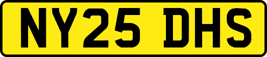 NY25DHS