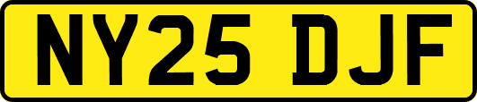 NY25DJF