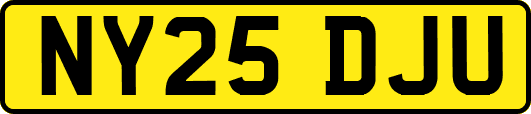 NY25DJU