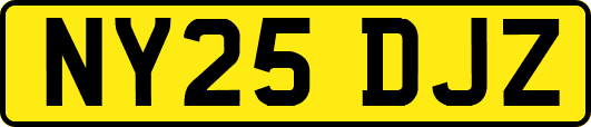 NY25DJZ