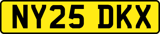 NY25DKX