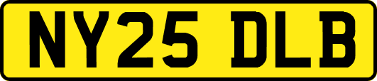 NY25DLB