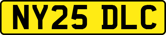 NY25DLC