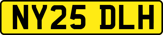 NY25DLH