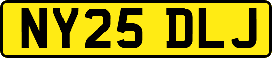 NY25DLJ