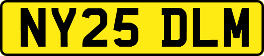 NY25DLM