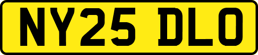NY25DLO
