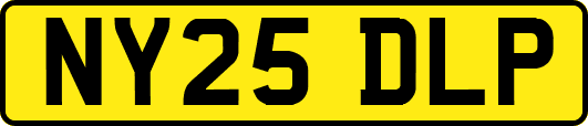 NY25DLP