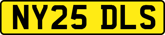 NY25DLS