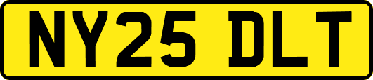 NY25DLT