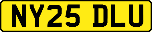 NY25DLU