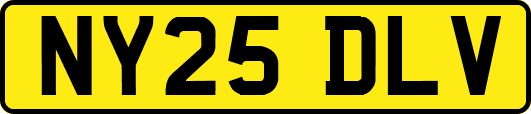 NY25DLV