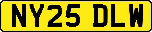 NY25DLW