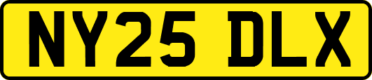NY25DLX