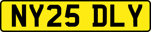 NY25DLY