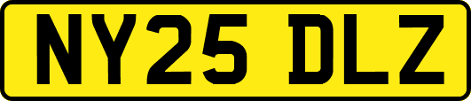 NY25DLZ