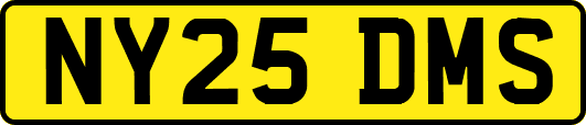 NY25DMS