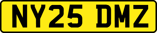 NY25DMZ