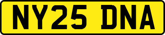 NY25DNA