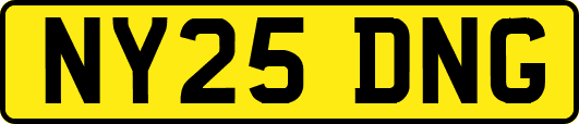 NY25DNG