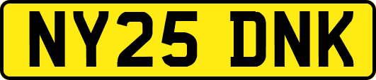 NY25DNK