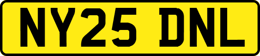 NY25DNL