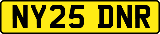 NY25DNR