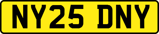 NY25DNY