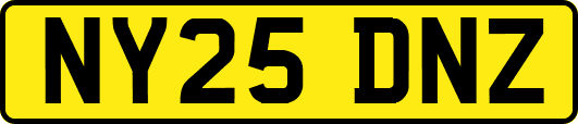 NY25DNZ