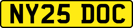 NY25DOC