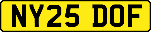 NY25DOF