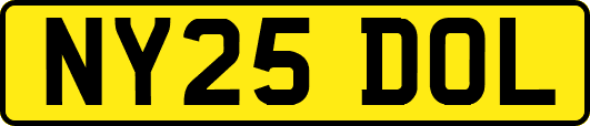 NY25DOL