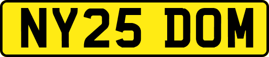 NY25DOM