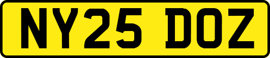 NY25DOZ