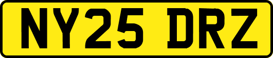 NY25DRZ