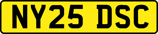 NY25DSC