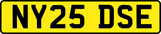 NY25DSE